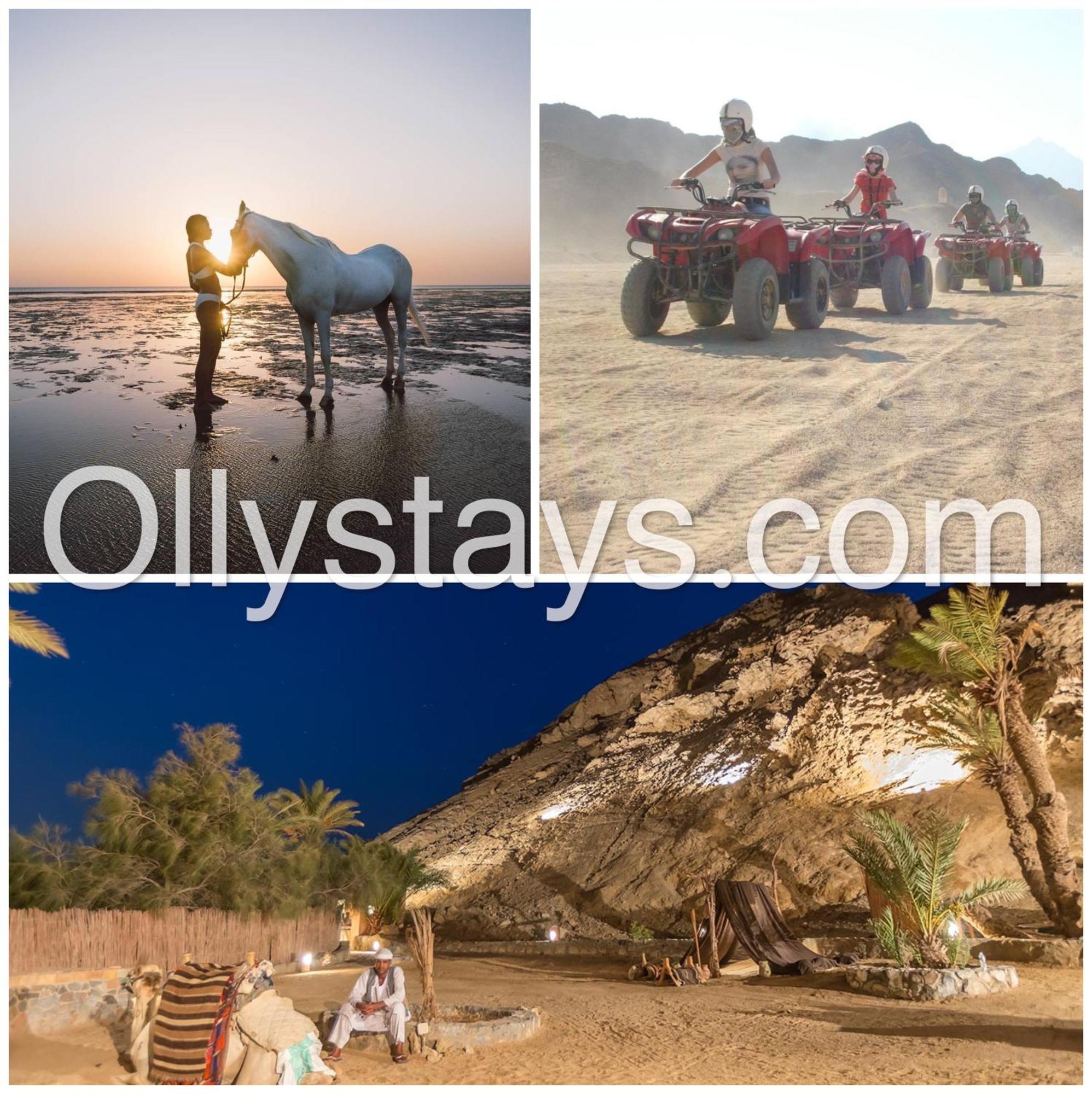 Ollystays Mangroovy 1 Bedroom Beach And Pool Free Access Хургада Екстер'єр фото